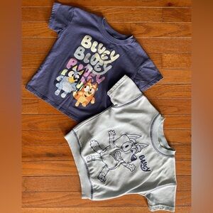 Bluey Toddler 3T Outfit Set Tee + Sweatshirt Licensed Ludo Studio Boys Girls